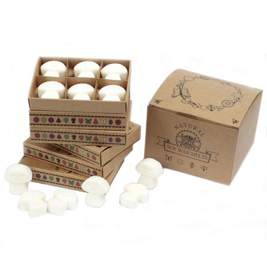 Box of 6 luxury wax melts - 24 SCENTS AVAILABLE