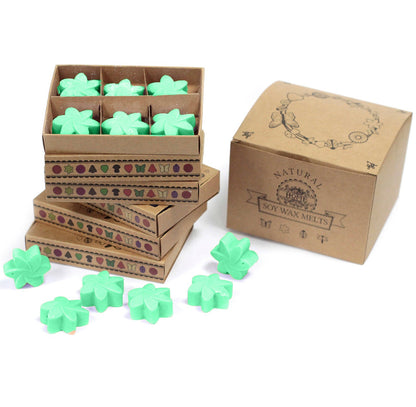 Box of 6 luxury wax melts - 24 SCENTS AVAILABLE