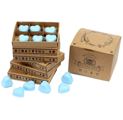 Box of 6 luxury wax melts - 24 SCENTS AVAILABLE