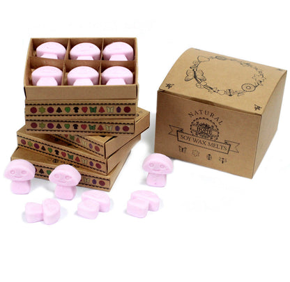 Box of 6 luxury wax melts - 24 SCENTS AVAILABLE